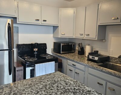 Chicago 1bed/1bath fully furnished