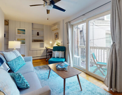 Furnished Sun-filled 1 bed, 1 bath in Brookline Village